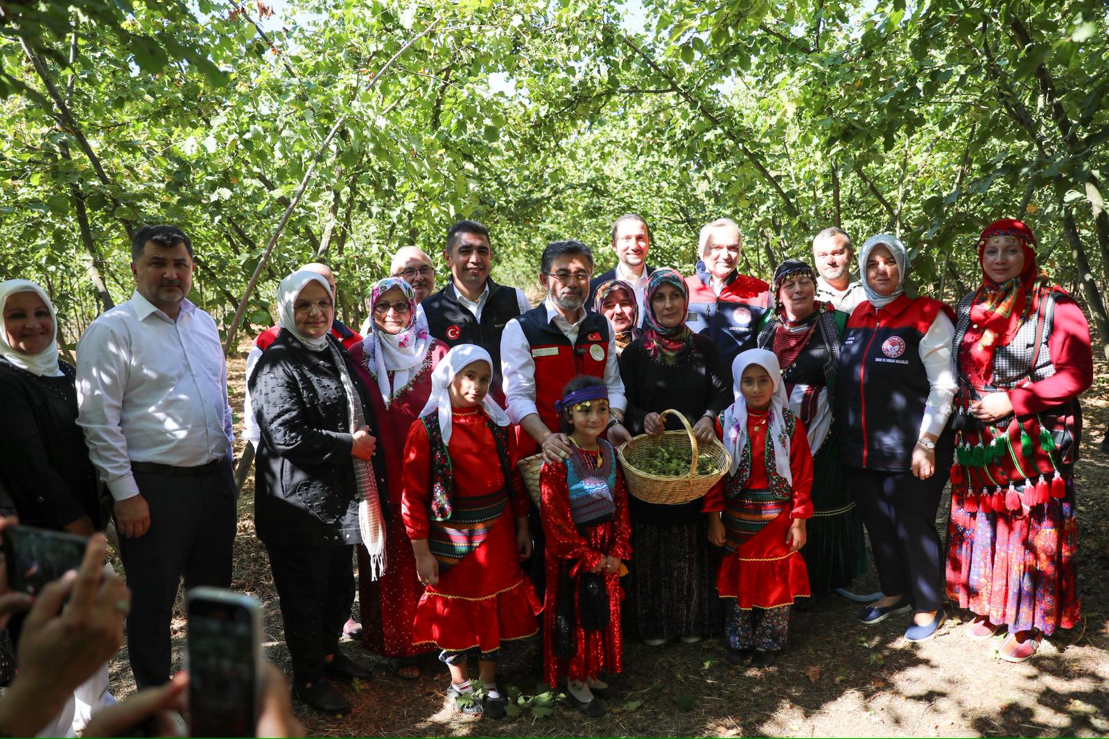 FINDIK HASAT ŞÖLENİ