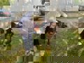 Whatsapp Image 2025 06 02 At 12.53.32 (2)