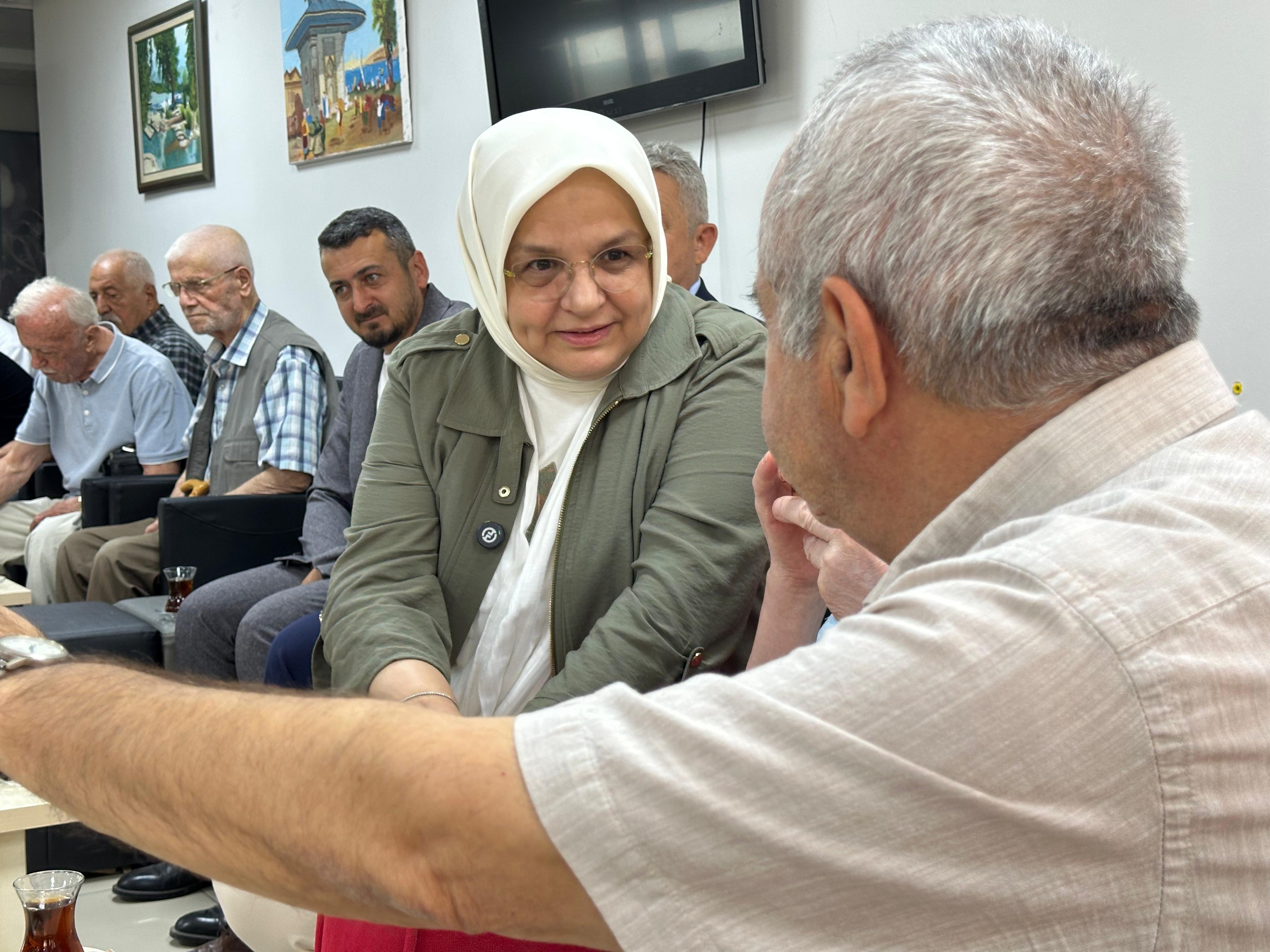 KOCA ÇINARLARIMIZLA SOHBET ETTİK