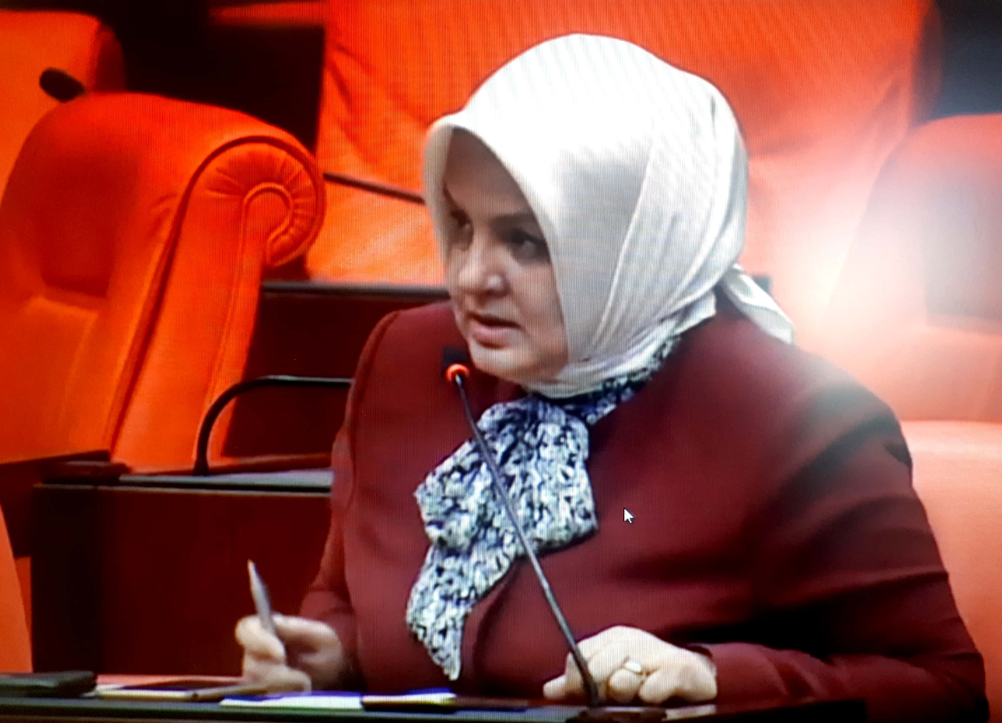AK Parti Düzce Milletvekili Ayse KESIR, CHP’li Bülent Tezcan’in Cumhurbaskani Erdogan’i hedef alan sözlerine yönelik TBMM Genel Kurulu’nda gündem disi yerinde söz aldi