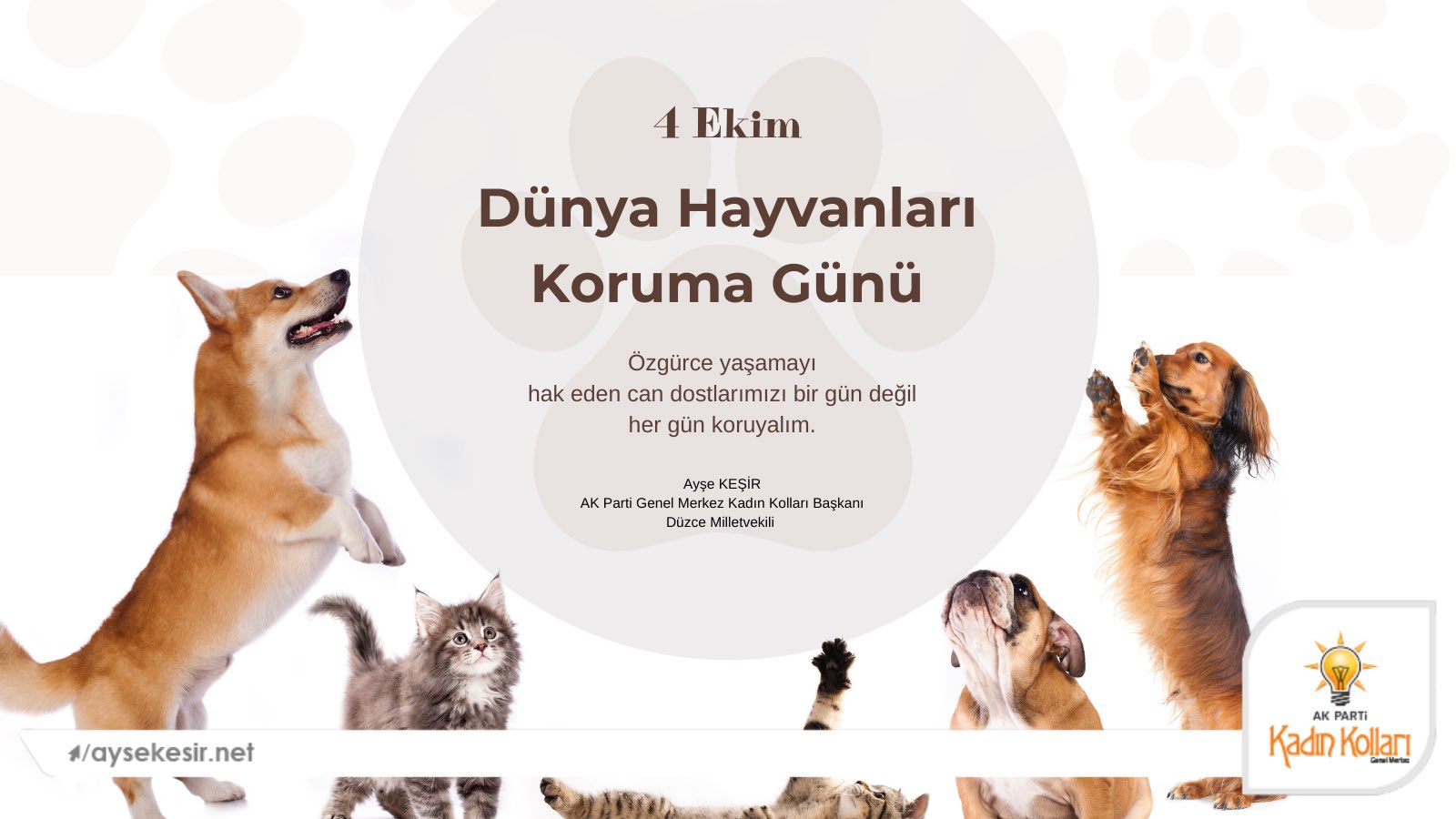 DÜNYA HAYVANLARI KORUMA GÜNÜ