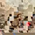 22.jpeg